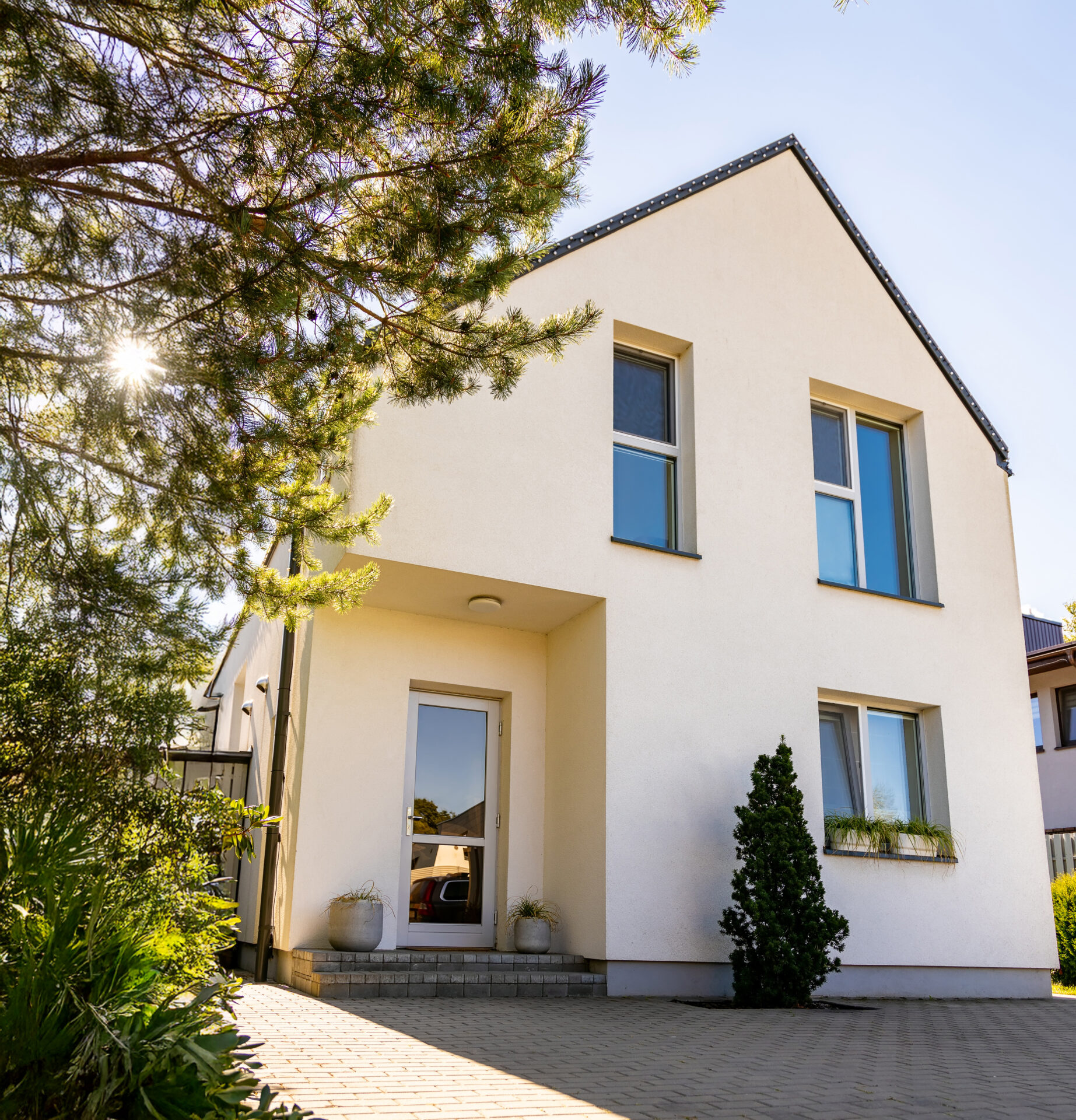 modernes Wohnhaus mit heller Fassade und Nadelbaum im Vordergrund